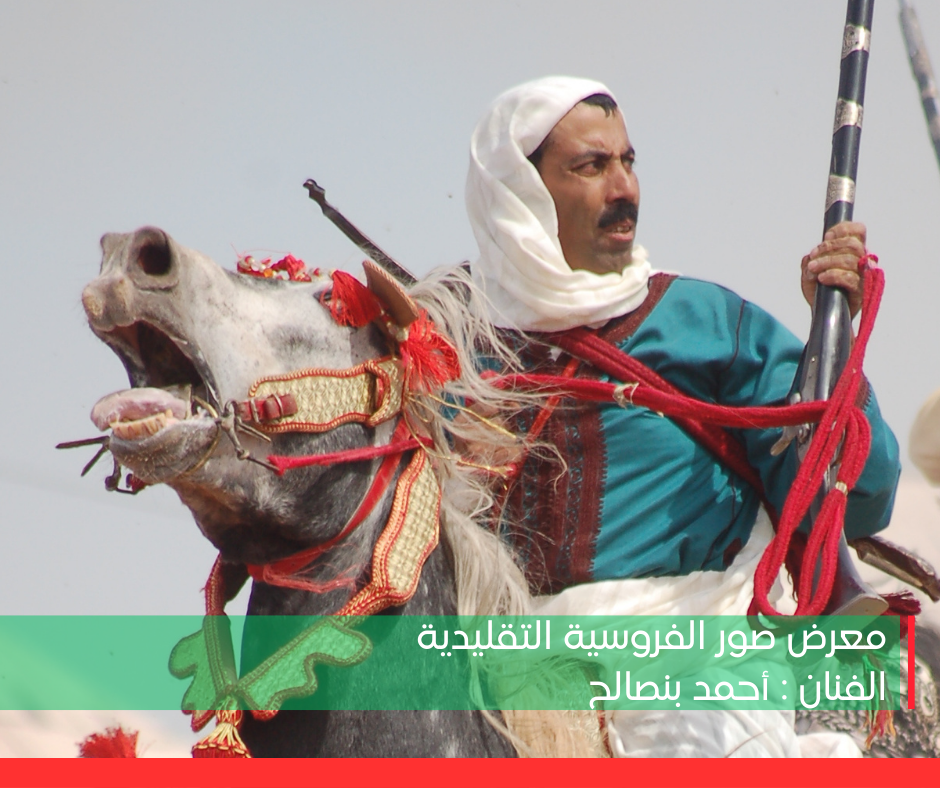 معرض الفروسية للفنان المصور المحترف أحمد بنصالح