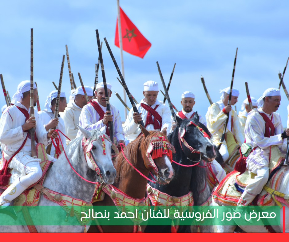 6 - معرض صور الفروسية