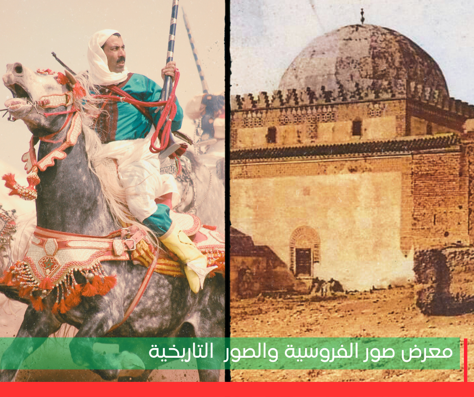 6 - معرض صور الفروسية والصور التاريخية